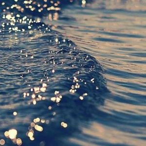 Meet your Posher, Nataly